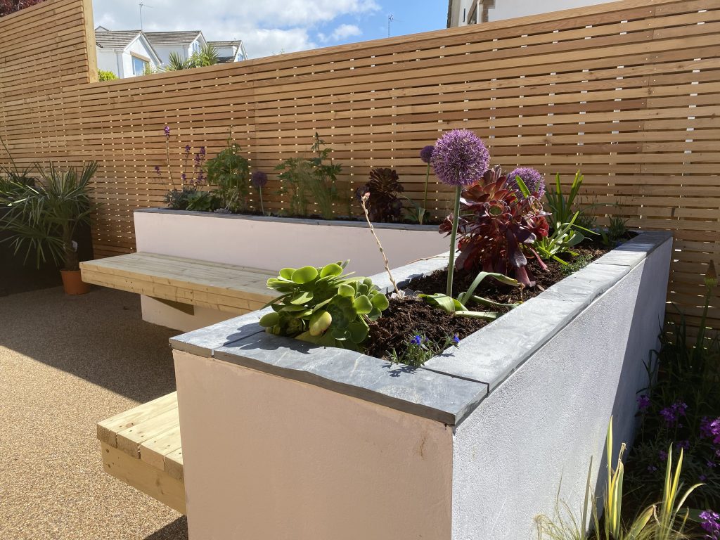 IMG 2943 1024x768 - Low maintenance contemporary garden