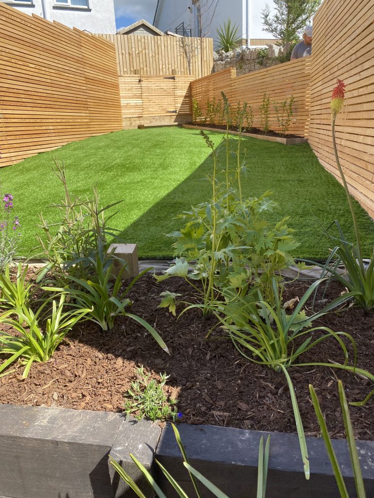 IMG 2957 768x1024 - Low maintenance contemporary garden