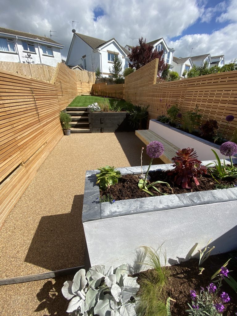 IMG 2962 768x1024 - Low maintenance contemporary garden