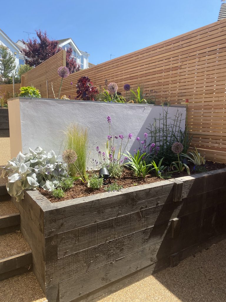 IMG 3117 768x1024 - Low maintenance contemporary garden