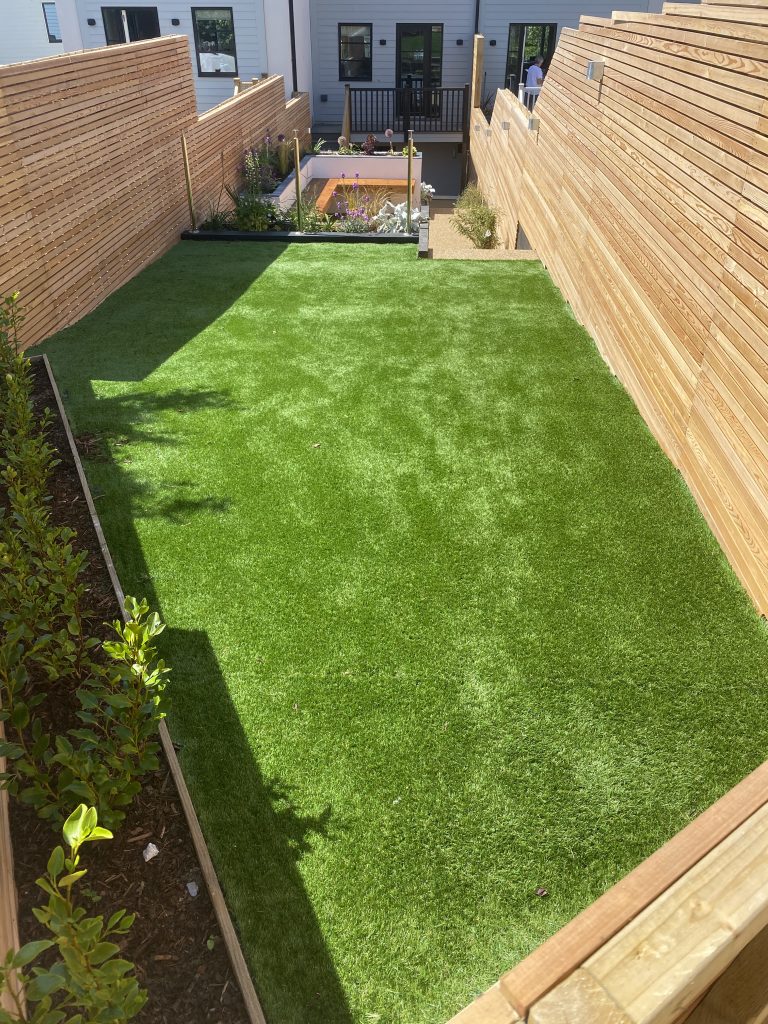 IMG 3132 768x1024 - Low maintenance contemporary garden